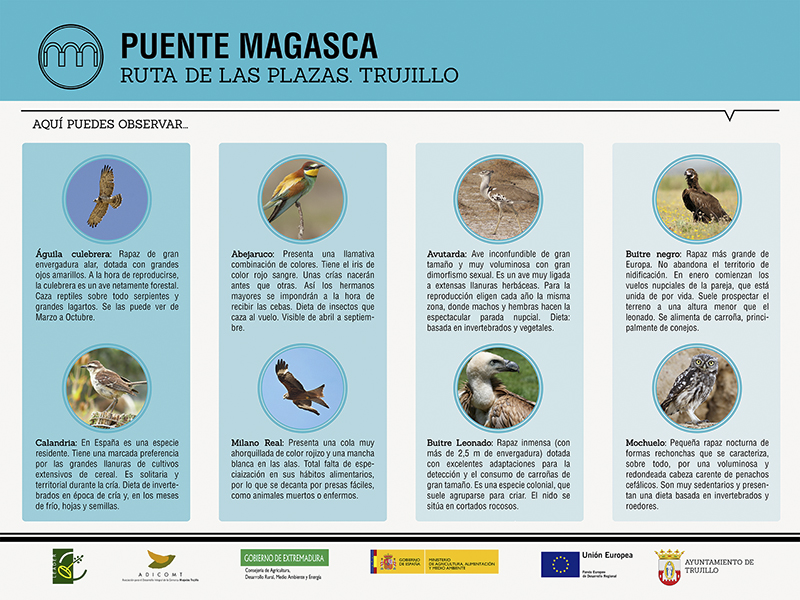 Rutas ornitolgicas de Trujillo